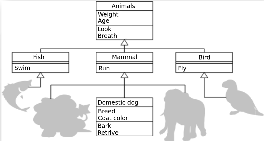 Object oriented programming